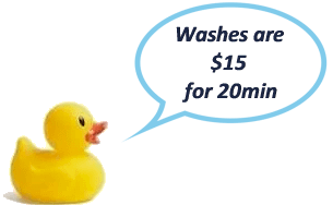 pet wash kiosk